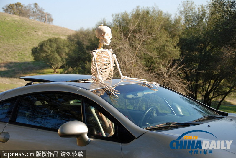 人體骨架一年內(nèi)周游世界 體驗(yàn)做人的感覺