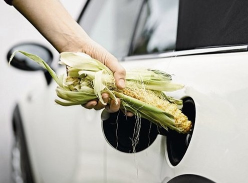 睿信致成觀察：我國(guó)生物燃料發(fā)展有待突破