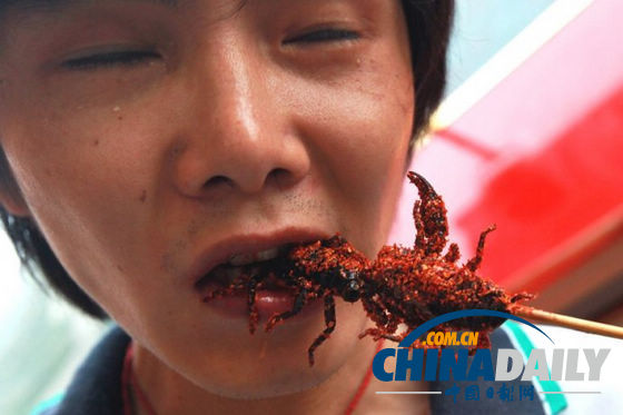 世界各地超級(jí)恐怖的蟲子大餐(組圖)