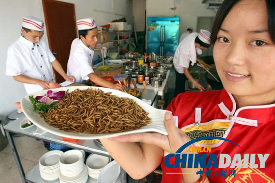 世界各地超級(jí)恐怖的蟲(chóng)子大餐（組圖）