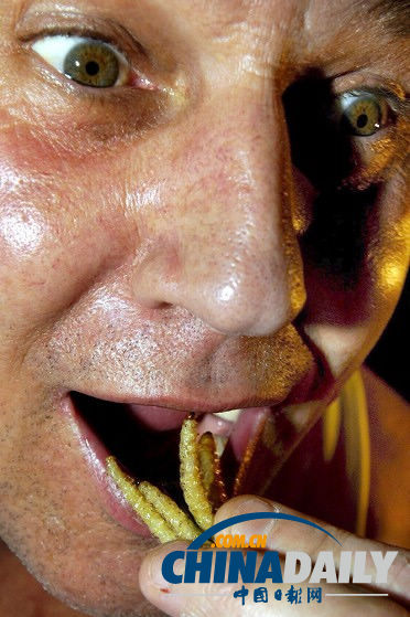 世界各地超級恐怖的蟲子大餐（組圖）