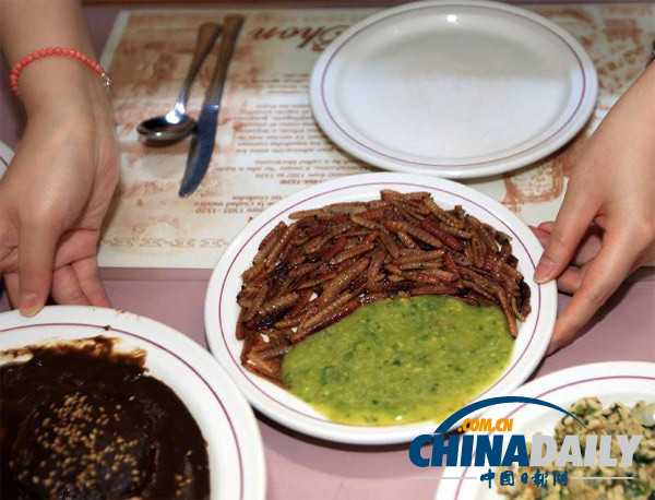世界各地超級(jí)恐怖的蟲(chóng)子大餐（組圖）