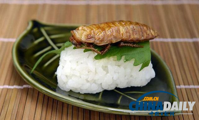 世界各地超級(jí)恐怖的蟲子大餐（組圖）