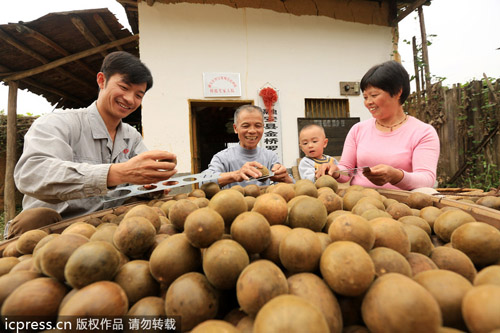 中國(guó)羅漢果變身美國(guó)汽水產(chǎn)業(yè)大救星？