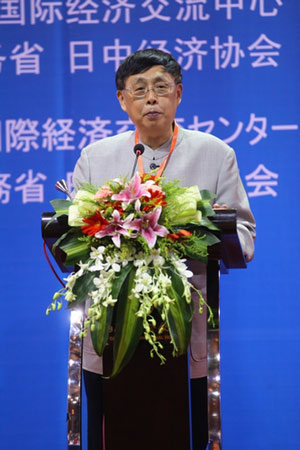 陳昊蘇：將第八次會(huì)議開(kāi)成邦交正常化40年的總結(jié)性會(huì)議