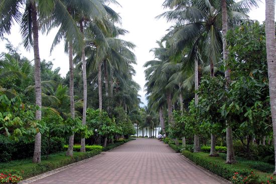 植物王國(guó)——興隆熱帶森林公園