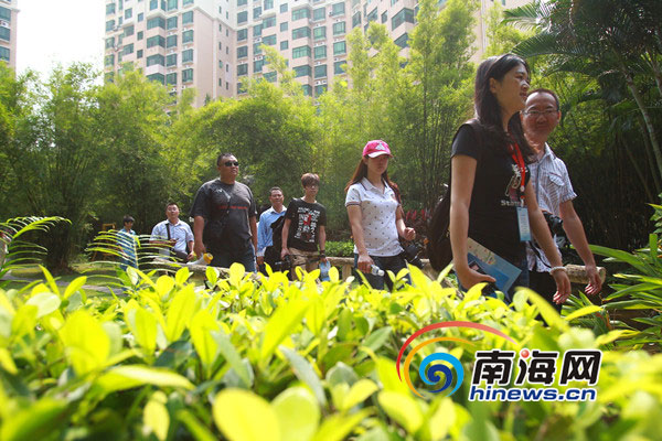 十年磨一劍 “五個龍華”鑄造?？诂F(xiàn)代化新城區(qū)