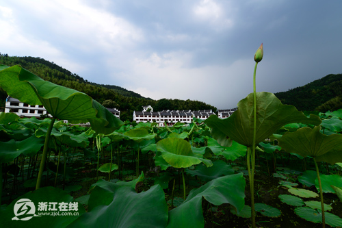 被“盤下”的利山村，一處秀山麗水的養(yǎng)生福地