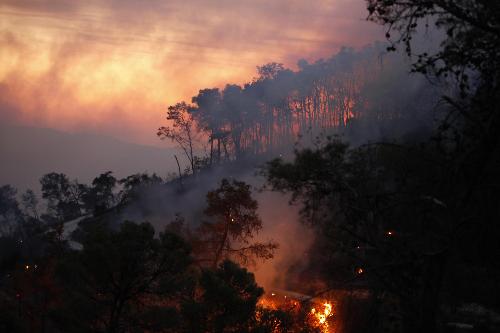 以色列北部發(fā)生山火約40人死亡 呼吁多國援助