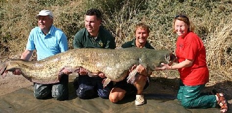 英國盲人婦女捕獲近百公斤重鯰魚 創(chuàng)兩項世界紀錄