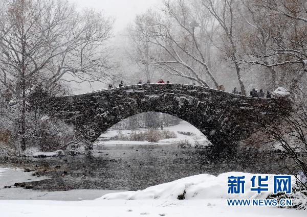 紐約遭暴風(fēng)雪襲擊 部分地區(qū)能見度為零