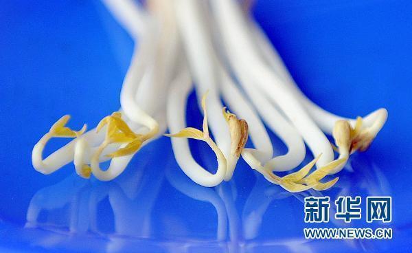 德國(guó)稱基本確認(rèn)“毒豆芽”是大腸桿菌疫情元兇