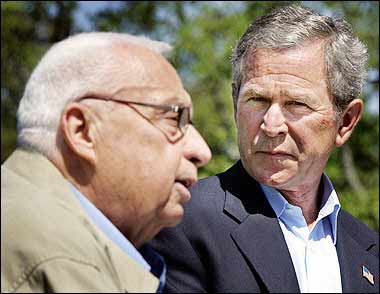 沙龍“命運(yùn)”今見(jiàn)分曉 賴(lài)斯等待葬禮？