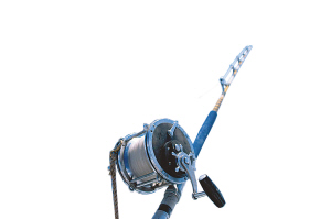 旅行家差點(diǎn)被鯊魚拖下海(圖)