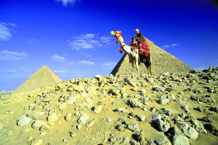 澳非 只因有一種向往