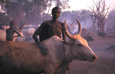 愛牛如子 與世隔絕的丁卡人