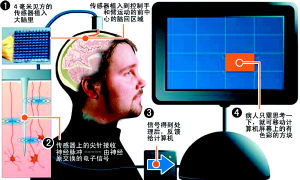 美國(guó)癱瘓男子借助電腦芯片實(shí)現(xiàn)意念移物(圖)