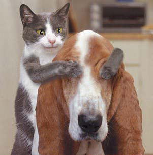 親愛的，猜猜我是誰？