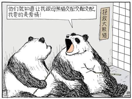 我要的是愛(ài)情