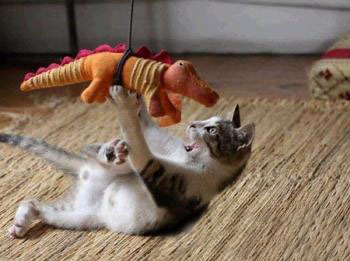 哇，有怪獸！