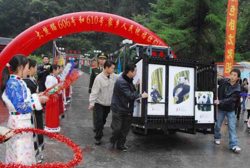 贈(zèng)港大熊貓盈盈、樂樂