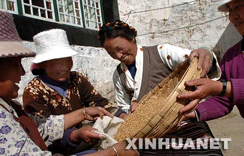 2005年3月7日，拉薩市城關區(qū)蔡公堂村女共產黨員扎桑（右二）同村里婦女一起準備春播用的青稞種子。西藏農村婦女黨員組建“巾幗文明服務隊”、“巾幗建筑隊”、西藏婦女發(fā)展協(xié)會等組織，成為農民脫貧致富的引路人。 新華社發(fā) 