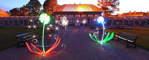 英攝影師用光線作畫 虛幻縹緲如夢境