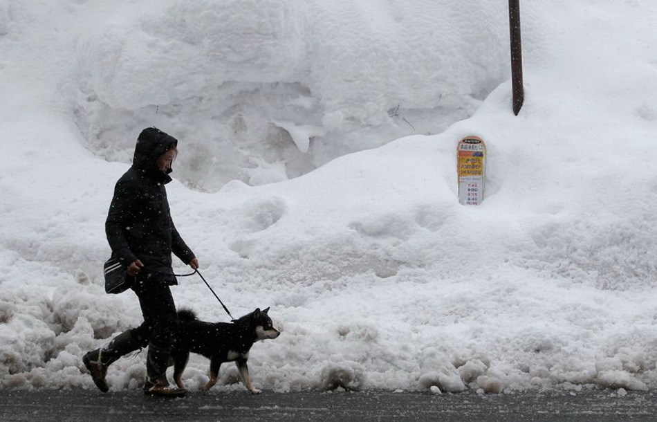 極寒天氣襲擊歐洲和東亞 日本暴雪56人喪生、英國或比南極冷