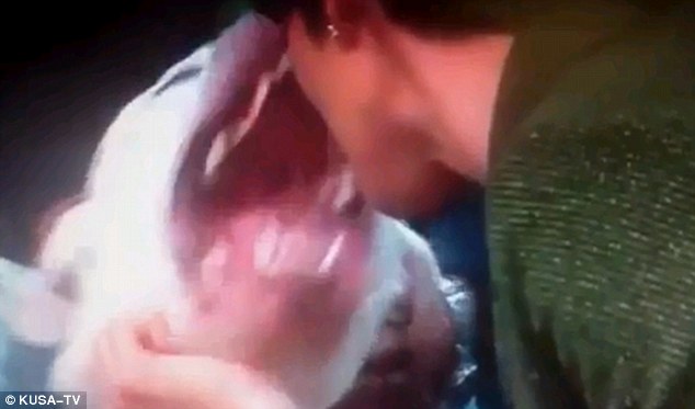 美國(guó)女主持直播中“采訪(fǎng)”烈犬嘉賓 被咬傷嘴唇送醫(yī)院