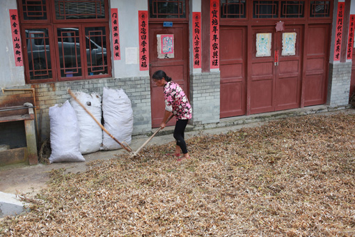 生態(tài)貴陽打造“綠色長城”