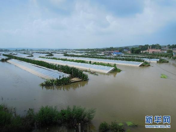 臺(tái)風(fēng)暴雨逼停京哈線70趟列車 沖鋒舟進(jìn)車站