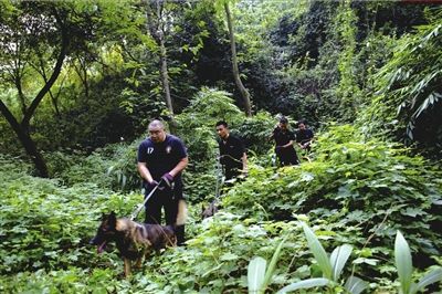 重慶警方否認(rèn)發(fā)周克華尸檢照 歌樂山解除封山令