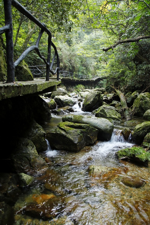秋光里，穿越在黃山最原始的峽谷中“尋古探幽”