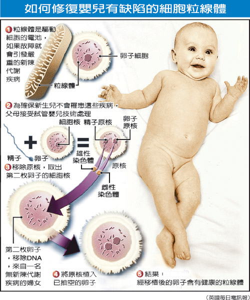 三個爹娘一個娃？英或允“三合一”胚胎技術用于臨床治療