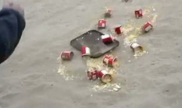美國少年海灘惡搞喂海鷗瀉藥 鳥糞雨從天而降游客慘遭襲