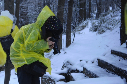 安徽黃山風(fēng)景區(qū)迎降入冬首場(chǎng)盛雪 驚羨拍雪客