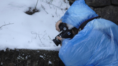 安徽黃山風(fēng)景區(qū)迎降入冬首場盛雪 驚羨拍雪客