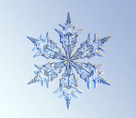 怎一個(gè)美字了得！美國(guó)科學(xué)家?guī)闶フQ看雪花(圖)