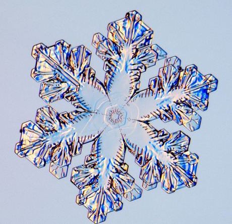 怎一個(gè)美字了得！美國(guó)科學(xué)家?guī)闶フQ看雪花(圖)