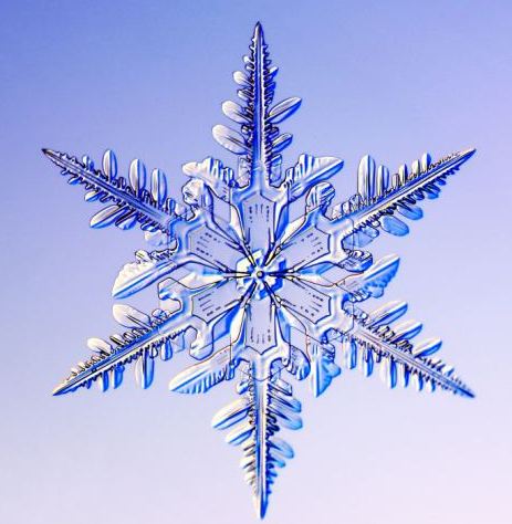 怎一個(gè)美字了得！美國(guó)科學(xué)家?guī)闶フQ看雪花(圖)
