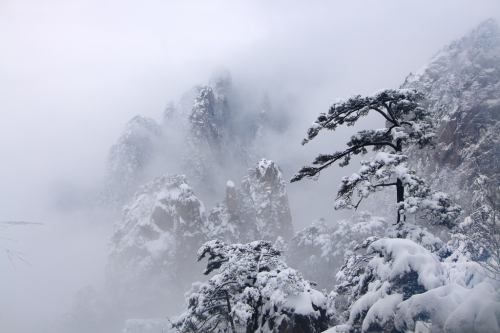 黃山:不容錯過的白色浪漫