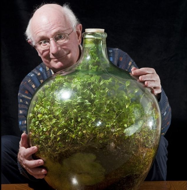 綠植瓶封40年仍長(zhǎng)勢(shì)旺盛 靠光合作用自給自足