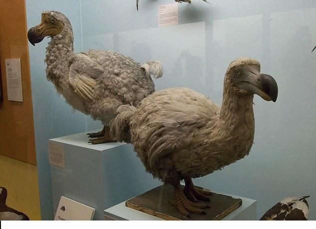 科學(xué)家有望復(fù)活24種滅絕動物 “侏羅紀公園”無法成真
