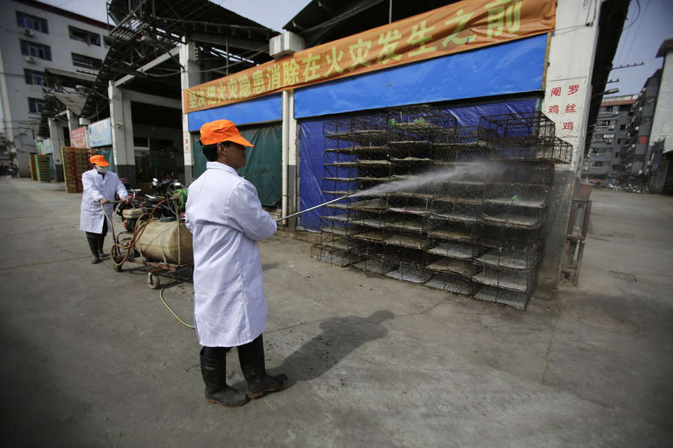 組圖：中國多地備戰(zhàn)H7N9禽流感