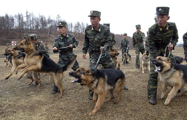 朝鮮宣布暫關(guān)閉開城工業(yè)園區(qū) 或進(jìn)行第四次核試驗(yàn)