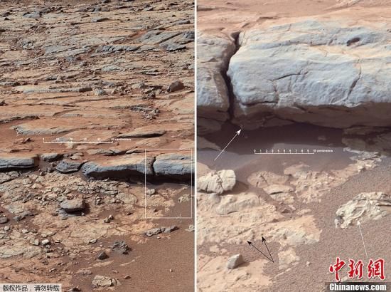 荷蘭移民火星項目收逾7萬份申請 中美人數(shù)最多