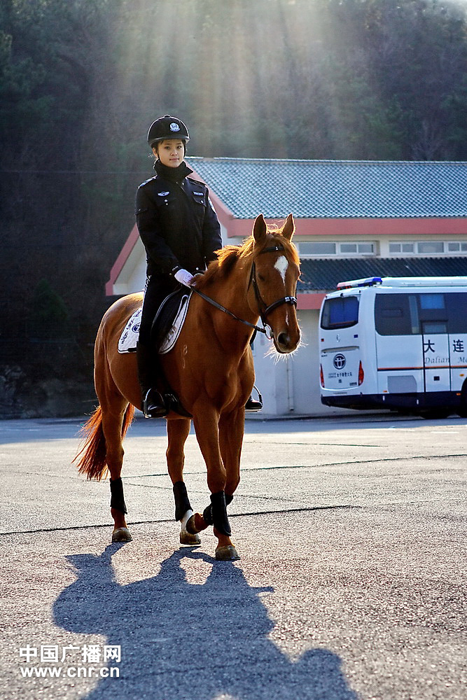 每匹馬養(yǎng)護成本2500元/月?探秘大連女騎警訓(xùn)練基地