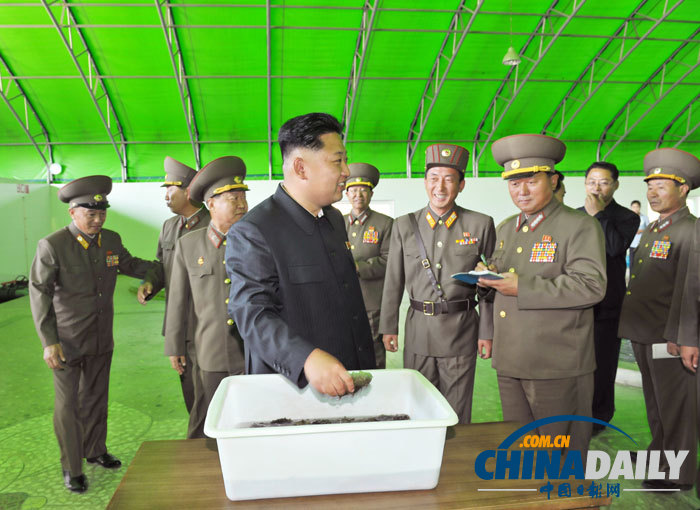 金正恩視察養(yǎng)魚(yú)場(chǎng) 要求大量生產(chǎn)鱘魚(yú)等供應(yīng)國(guó)際市場(chǎng)（組圖）