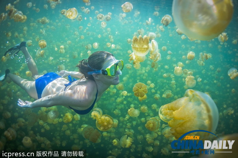 比基尼美女與水母同游 夢(mèng)幻場(chǎng)景亦幻亦真 <BR>