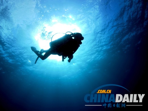 玩在印尼:巴厘島潛水傻瓜指南(組圖)